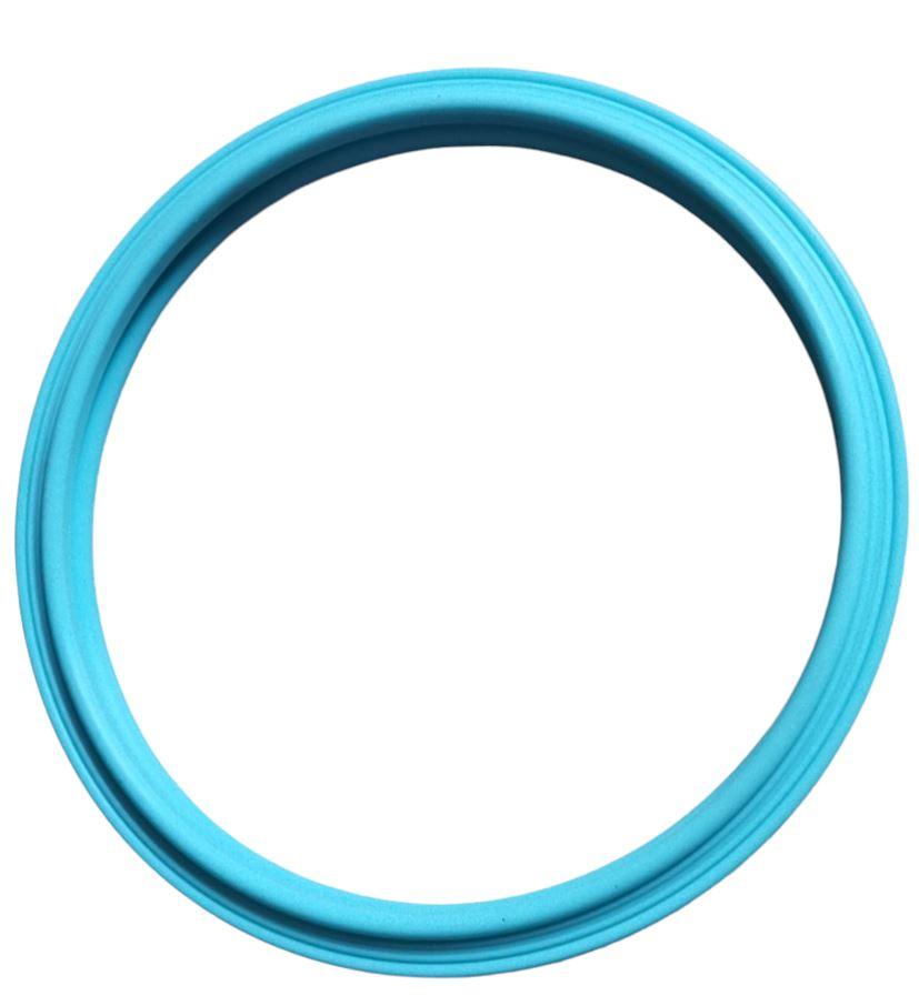 Pooltone gasket for Jandy R0399800 Replacement for Select Jandy Pool Lighting System Home & Garden > Pool & Spa Jandy Zodiac 