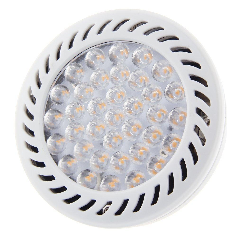 PoolTone™ Commercial 180 - 240 VAC White LED 6K Bulb 35W Watts PoolTone™ Commercial 180 - 240 VAC White LED 6K Bulb 35W Watts