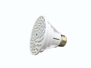 Pool Tone® Color LED Bulb 1900 Lumens 120V Edison Base E27 for Pentair® Spabrite® Home & Garden > Lighting > Light Bulbs Pentair 
